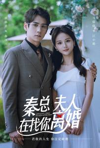 秦總，夫人在找你離婚(全集)