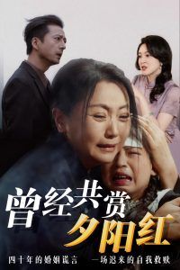 曾經(jīng)共賞夕陽(yáng)紅(全集)