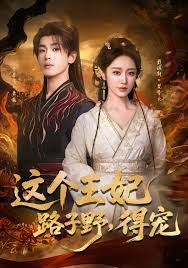 這個(gè)王妃路子野，得寵(全集)