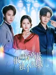 恨明月高懸獨(dú)不照我，錯(cuò)位月光(全集)