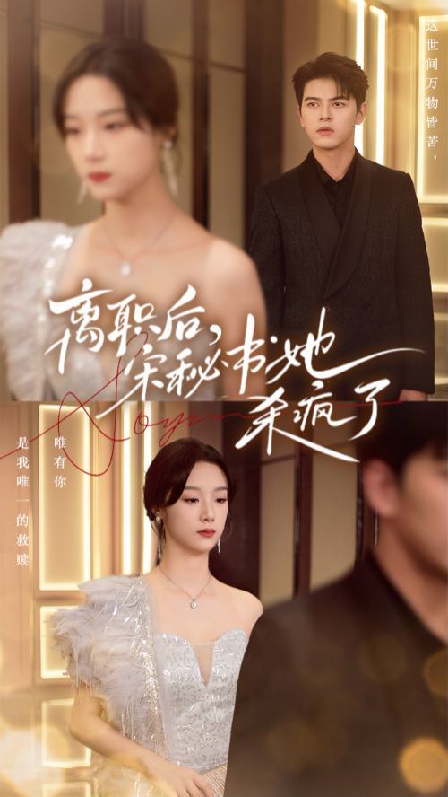 離職后，宋秘書她殺瘋了(全集)