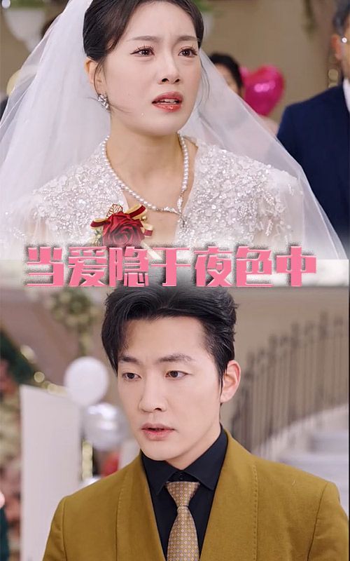 當(dāng)愛(ài)隱于夜色中(全集)