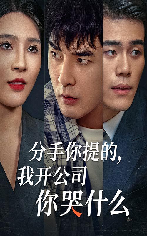 分手你提的，我開公司你哭什么(全集)