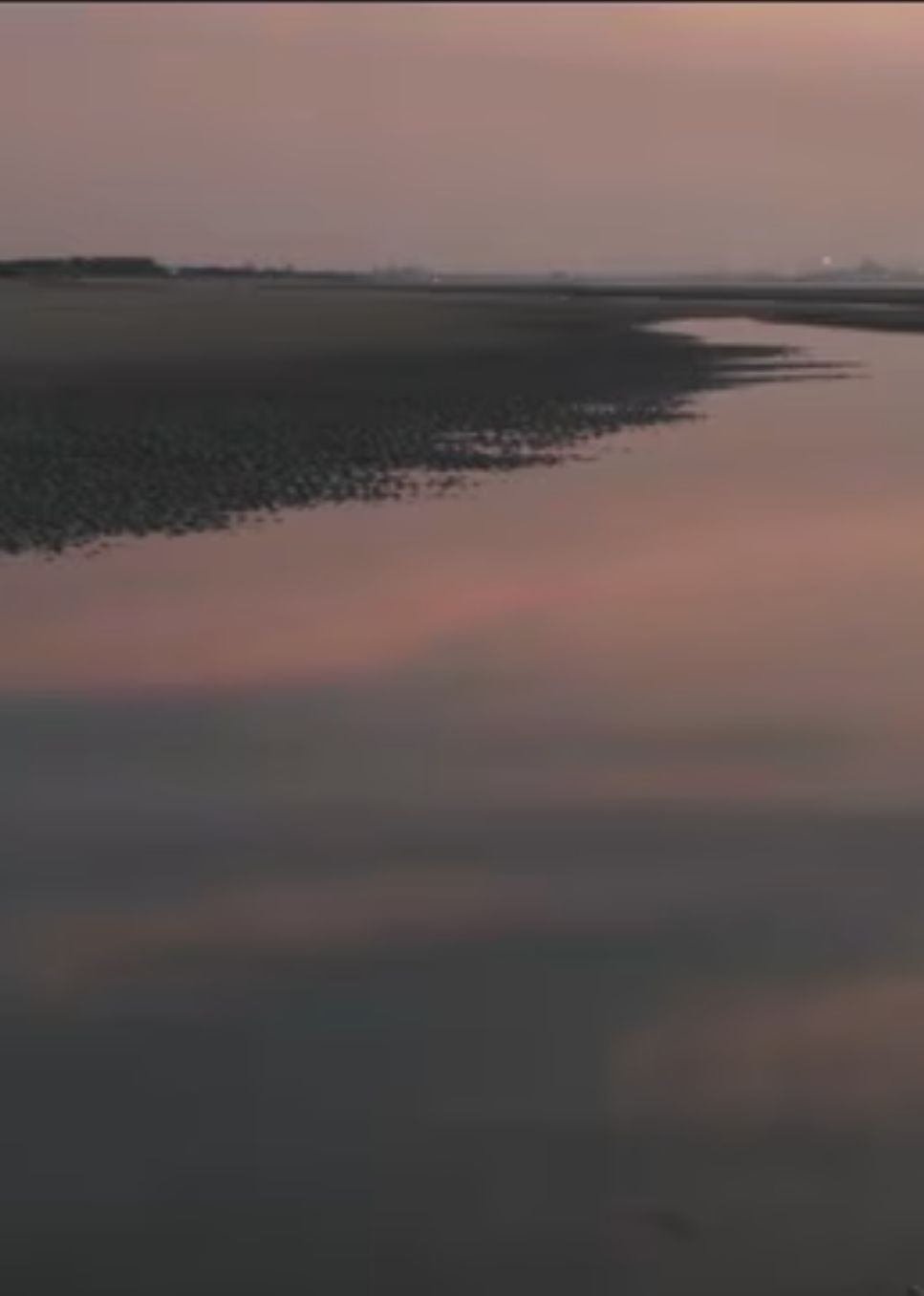 兩個爸爸的故事?(全集)