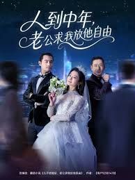 人到中年，老公求我放他自由(全集)