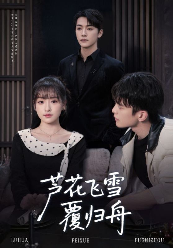 蘆花飛雪覆歸舟(全集)