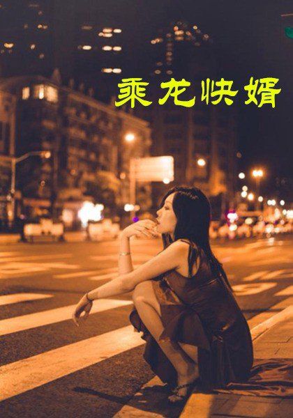 乘龍快婿(全集)