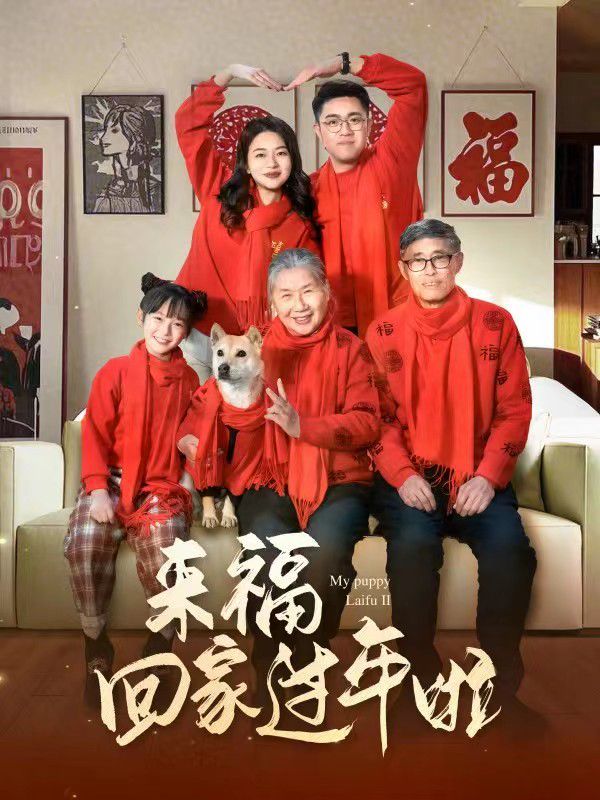 來?；丶疫^年啦(全集)