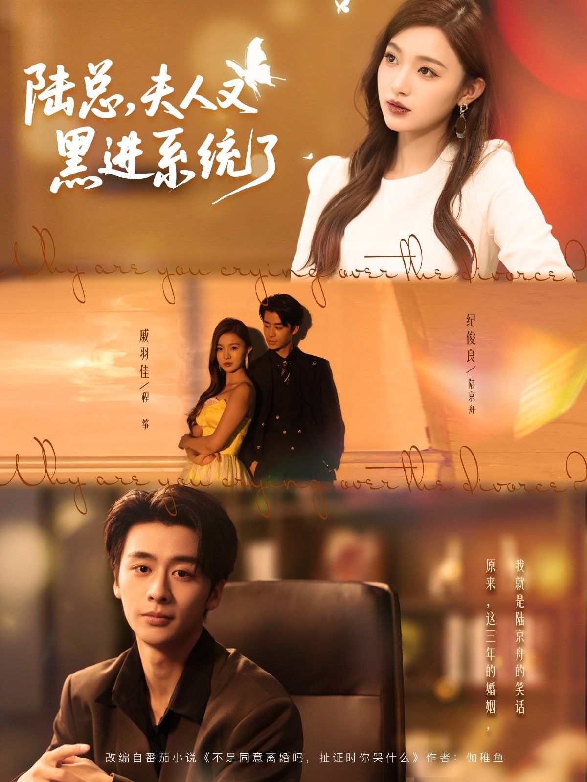 陸總夫人又黑進系統(tǒng)了(全集)